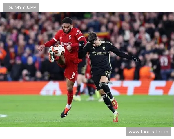 英媒称澳波或轮换迎战利物浦全力备战欧联杯主场关键之战